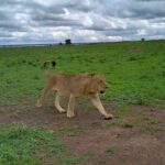 IMG-20240428-WA0030